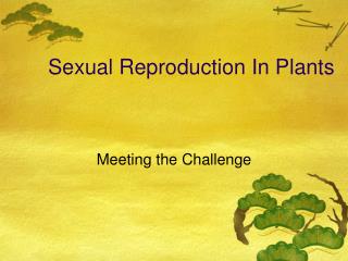 Sexual Reproduction In Plants