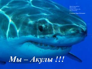 Мы – Акулы !!!