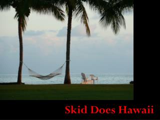 Skid Does Hawaii