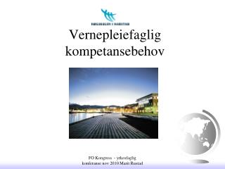 Vernepleiefaglig kompetansebehov