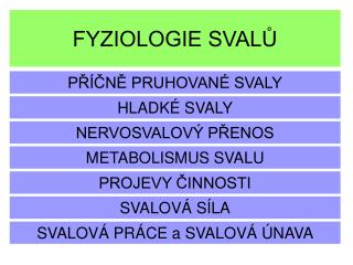 FYZIOLOGIE SVALŮ