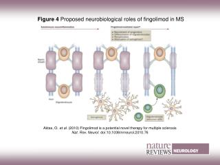 Figure 4 Proposed neurobiological roles of fingolimod in MS