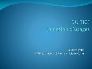 DU TICE La notion d’usages