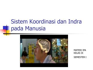 Sistem Koordinasi dan Indra pada Manusia