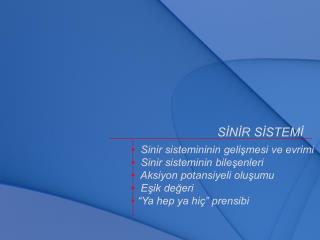 SİNİR SİSTEMİ