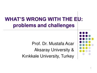 WHAT’S WRONG WITH THE EU: problems and challenges