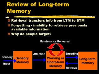 Review of Long-term Memory