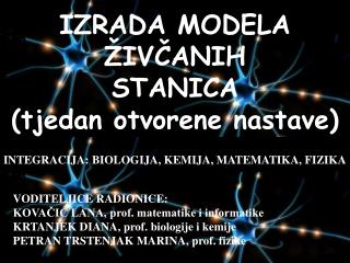 IZRADA MODELA ŽIVČANIH STANICA (tjedan otvorene nastave)