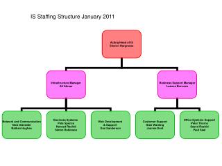 IS Staffing Structure January 2011