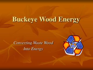 Buckeye Wood Energy