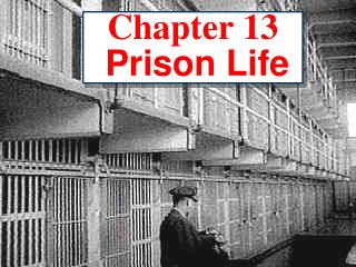 Chapter 13 Prison Life