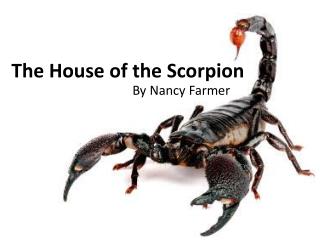 The House of the Scorpion