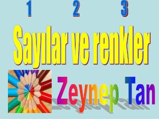 Zeynep Tan