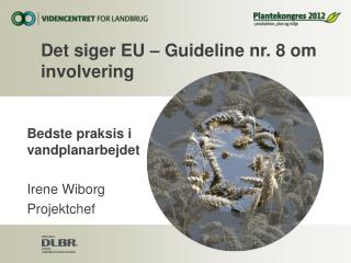 Det siger EU – Guideline nr. 8 om involvering