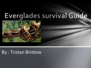 Everglades survival Guide