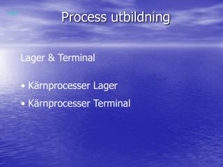 Process utbildning