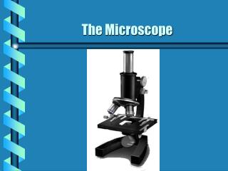 The Microscope