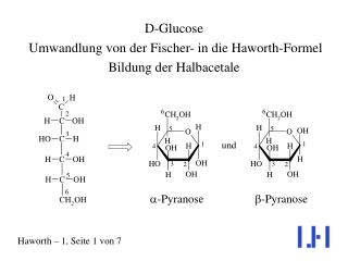 D-Glucose Umwandlung von der Fischer- in die Haworth-Formel Bildung der Halbacetale