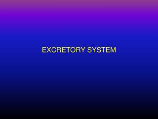 EXCRETORY SYSTEM