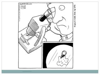 blogs.besd/jamie-kent/files/2010/12/microscope-Comic1.gif