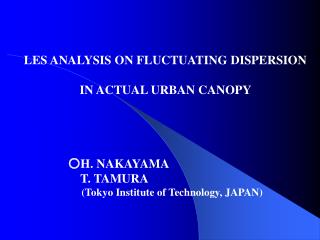 ○H. NAKAYAMA T. TAMURA (Tokyo Institute of Technology, JAPAN)