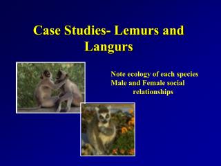 Case Studies- Lemurs and Langurs