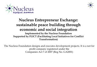 Nucleus Entrepreneur Exchange: sustainable peace building through economic and social integration