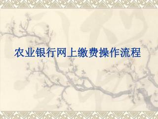 农业银行网上缴费操作流程