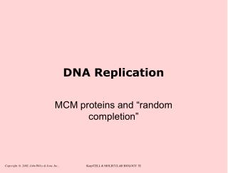 DNA Replication