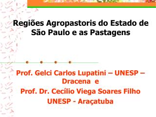 Regiões Agropastoris do Estado de São Paulo e as Pastagens