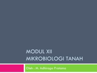 MODUL XII MIKROBIOLOGI TANAH