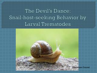 The Devil’s Dance: Snail-host-seeking Behavior by Larval Trematodes