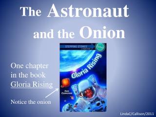 Astronaut and the Onion