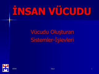 İNSAN VÜCUDU