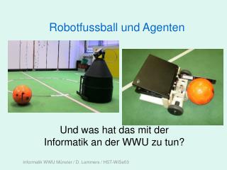 Robotfussball und Agenten