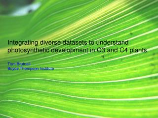 Integrating diverse datasets to understand photosynthetic development in C3 and C4 plants