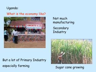 Uganda: What is the economy like?
