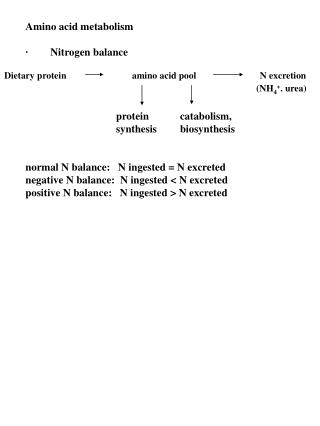 Amino acid metabolism ·        Nitrogen balance 		 protein 	 catabolism,