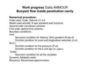 Work progress Dalila AMMOUR Buoyant flow inside penetration cavity