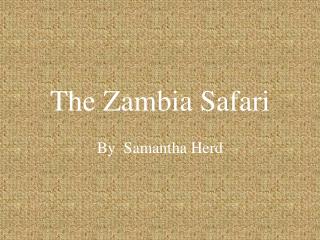 The Zambia Safari