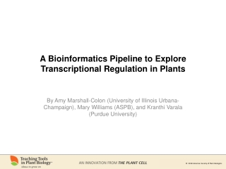 A Bioinformatics Pipeline to Explore Transcriptional Regulation in Plants