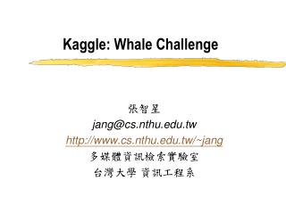 Kaggle: Whale Challenge