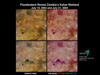 Floodwaters Renew Zambia's Kafue Wetland July 19, 2003 and July 21, 2004