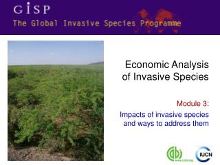 Module 3: Impacts of invasive species and ways to address them