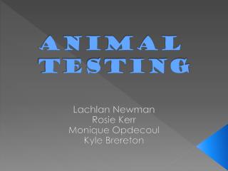 Animal Testing