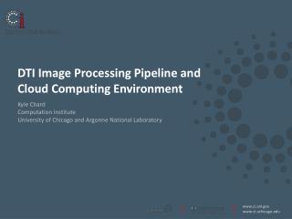 DTI Image P rocessing P ipeline and Cloud Computing Environment