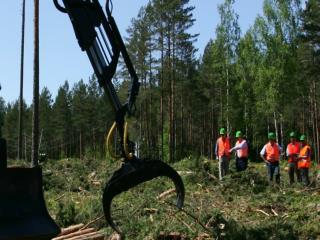 Miško kirtimo atliekų ištekliai valstybiniuose miškuose bei jų panaudojimo galimybės