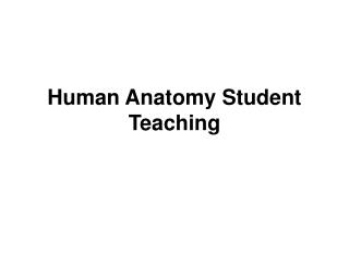 Human Anatomy Student Teaching