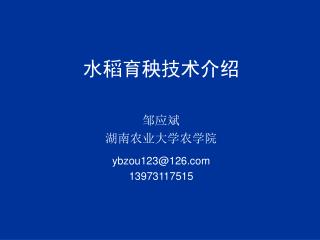 水稻育秧技术介绍 邹应斌 湖南农业大学农学院 ybzou123@126 13973117515