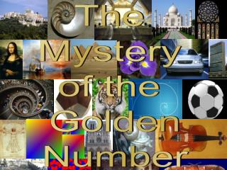 The Mystery of the Golden Number